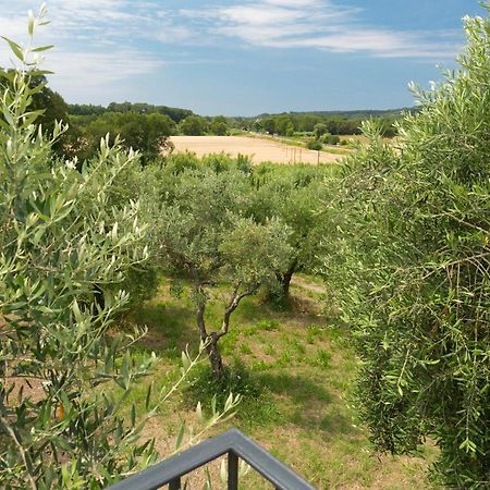 Cottage Zizzolo Riparbella Zewnętrze zdjęcie