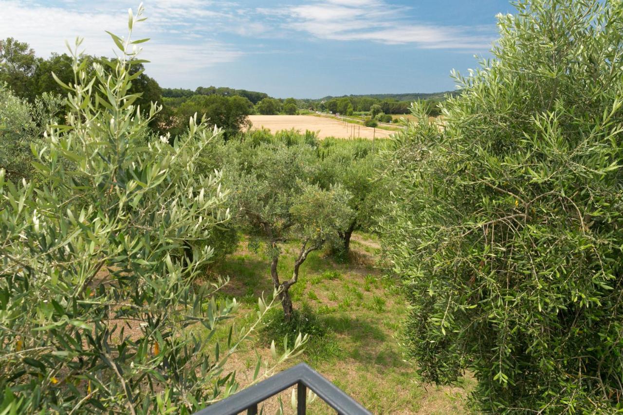 Cottage Zizzolo Riparbella Zewnętrze zdjęcie